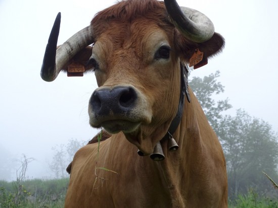 bolota-16-olhares-24_lp