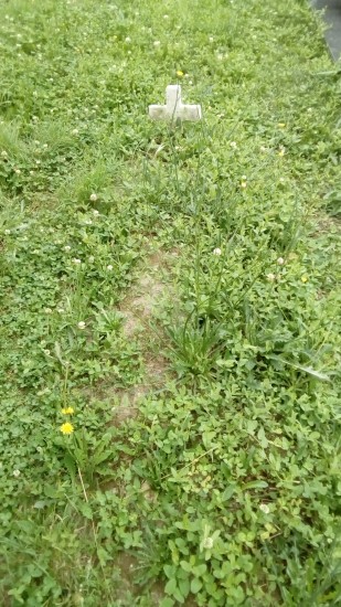 cemiaba (00) - jg -18