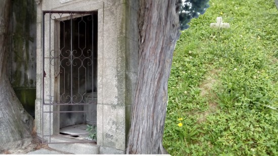 Fotomontagem: Pedro N. Silva