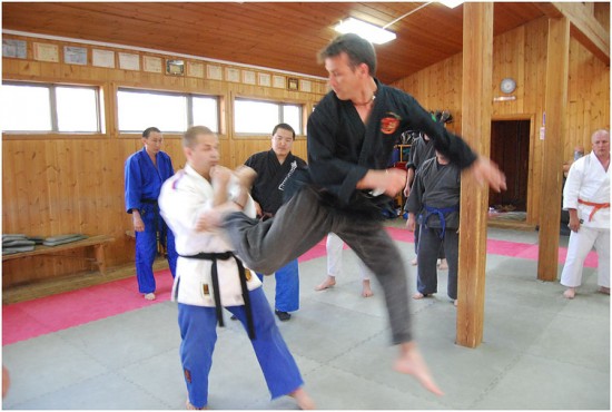 Primeiroport. foto 6 (VL)