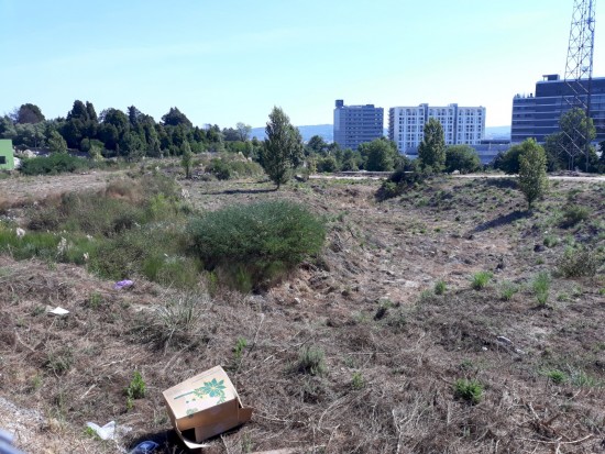 antas (02)-PNS-Set18