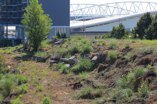 antas (04)-PNS-Set18