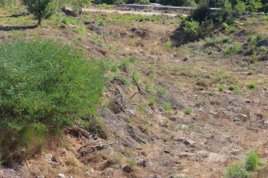 antas (05)-PNS-Set18