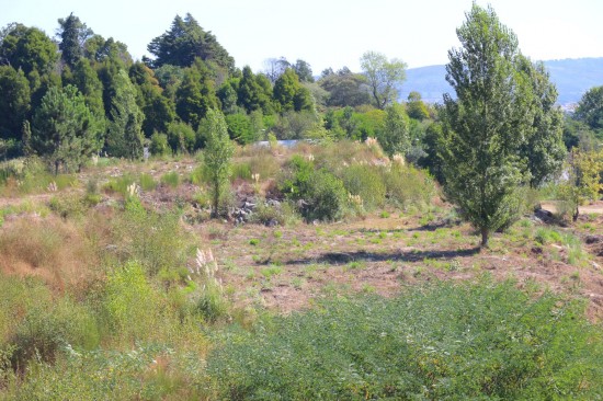 antas (06)-PNS-Set18