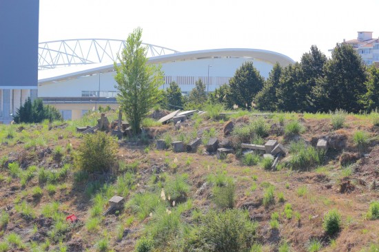 antas (08)-PNS-Set18