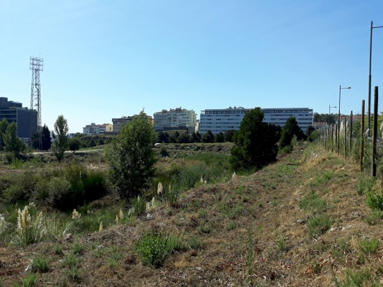 antas (09)-PNS-Set18