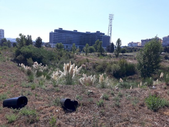 antas (10)-PNS-Set18