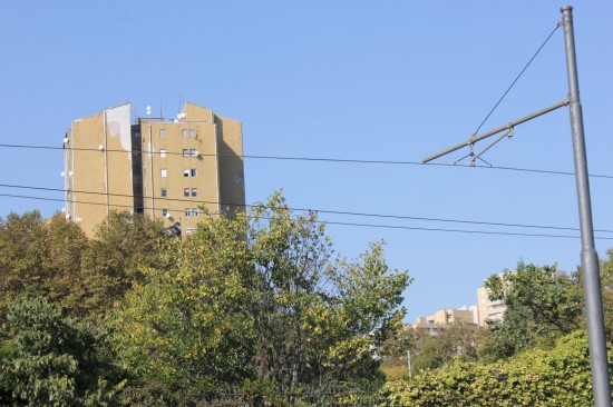 baleixo(16)-set18-mm