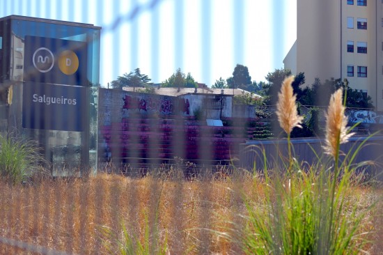 salgueiro (15)-PNS-Set18