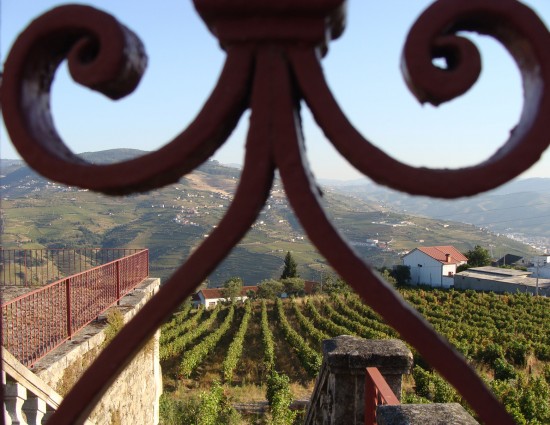 vindima-02-lp-set_2018