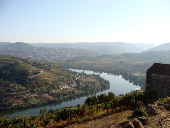 vindima-05-lp-set_2018