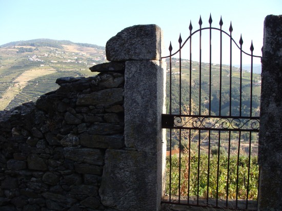 vindima-08-lp-set_2018