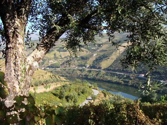 vindima-09-lp-set_2018