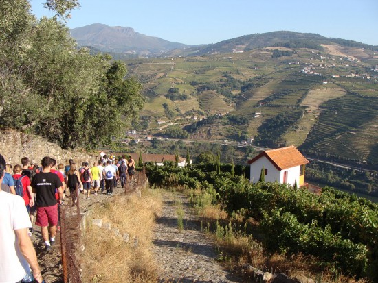 vindima-10-lp-set_2018