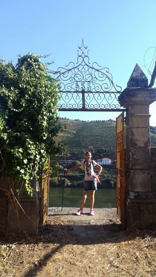 Foto: Nelson Rosário