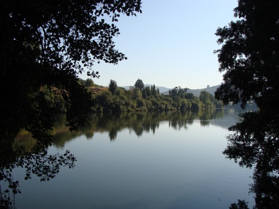 vindima-13-lp-set_2018