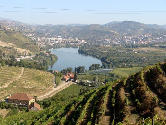 vindima-16-lp-set_2018