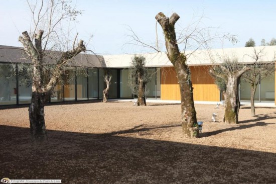 casa creche magalhães - p lima