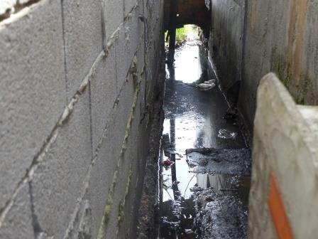 ccigana(05)-nov18-pr