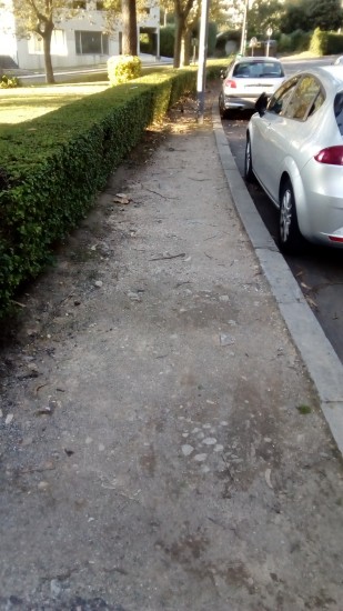 Passeio em terra batida (II)