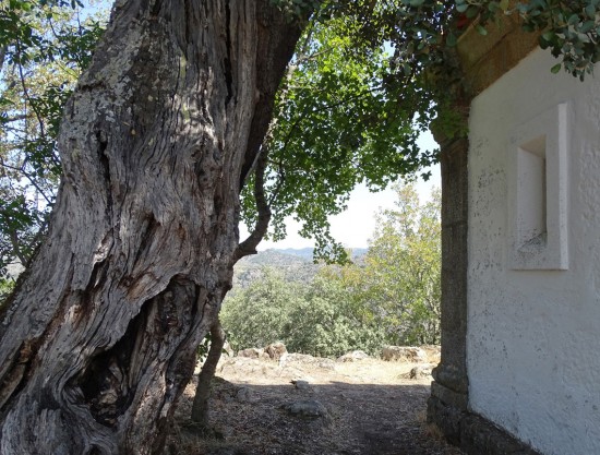 pombalina-13-lp_out18