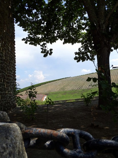 pombalina-15-lp_out18