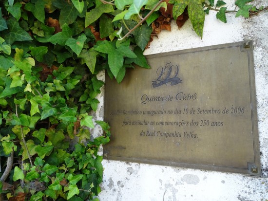 pombalina-18-lp_out18