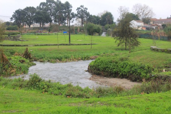 ribeiroradm(02)-nov18-mm