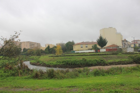 ribeiroradm(08)-nov18-mm