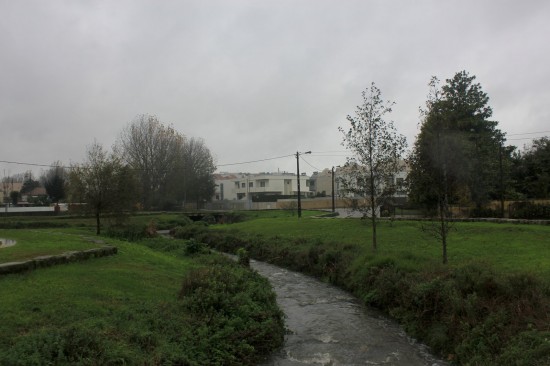 ribeiroradm(12)-nov18-mm