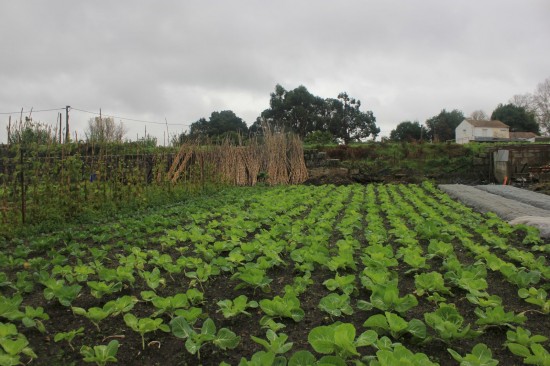 ribeiroradm(19)-nov18-mm (1)