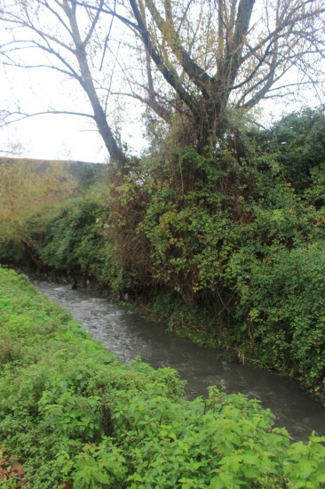 ribeiroradm(25)-nov18-mm