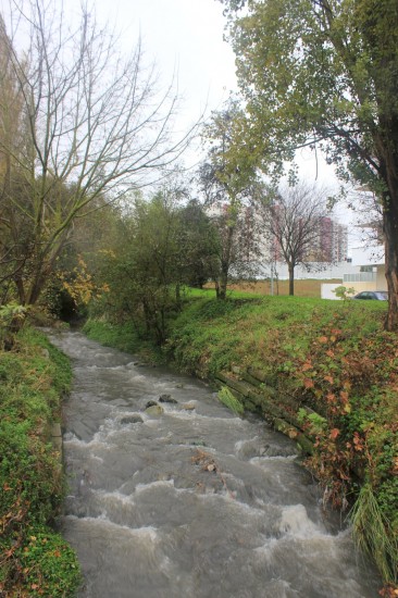 ribeiroradm(30)-nov18-mm