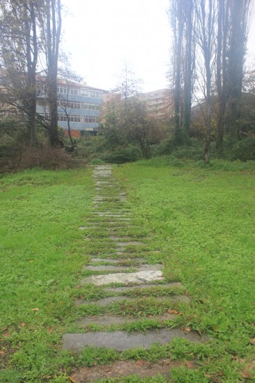 ribeiroradm(32)-nov18-mm