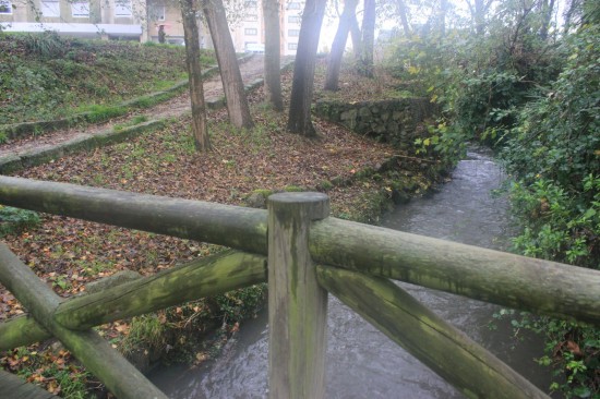 ribeiroradm(33)-nov18-mm