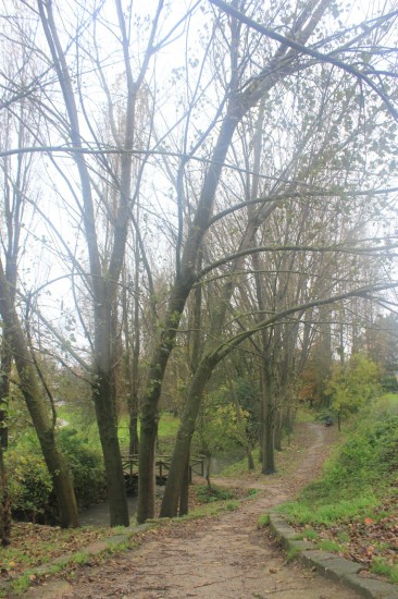 ribeiroradm(37)-nov18-mm