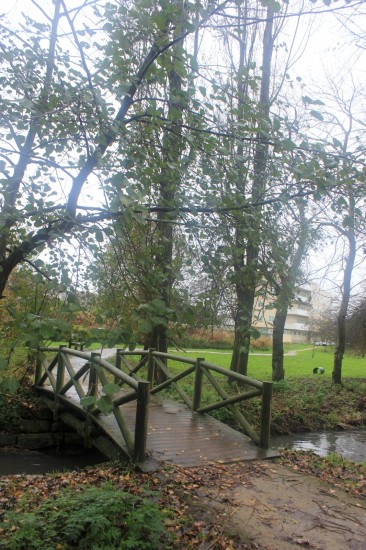 ribeiroradm(38)-nov18-mm