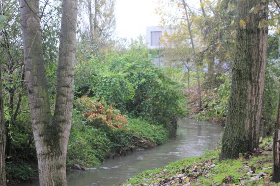 ribeiroradm(45)-nov18-mm