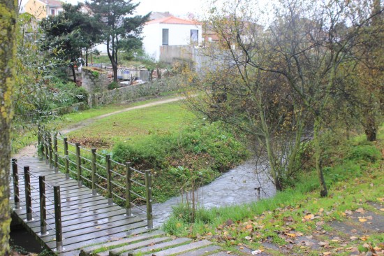 ribeiroradm(48)-nov18-mm